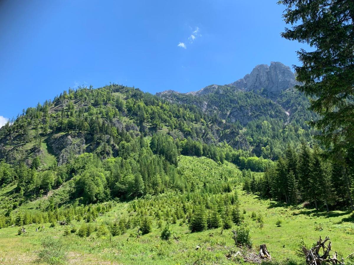 Apartment Kumitzblick Obersdorf Екстер'єр фото